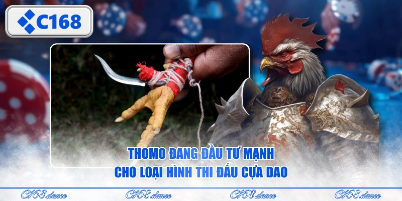 Thomo đang đầu tư mạnh cho loại hình thi đấu cựa dao